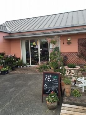 「是松生花店」　（大分県国東市）の花屋店舗写真1
